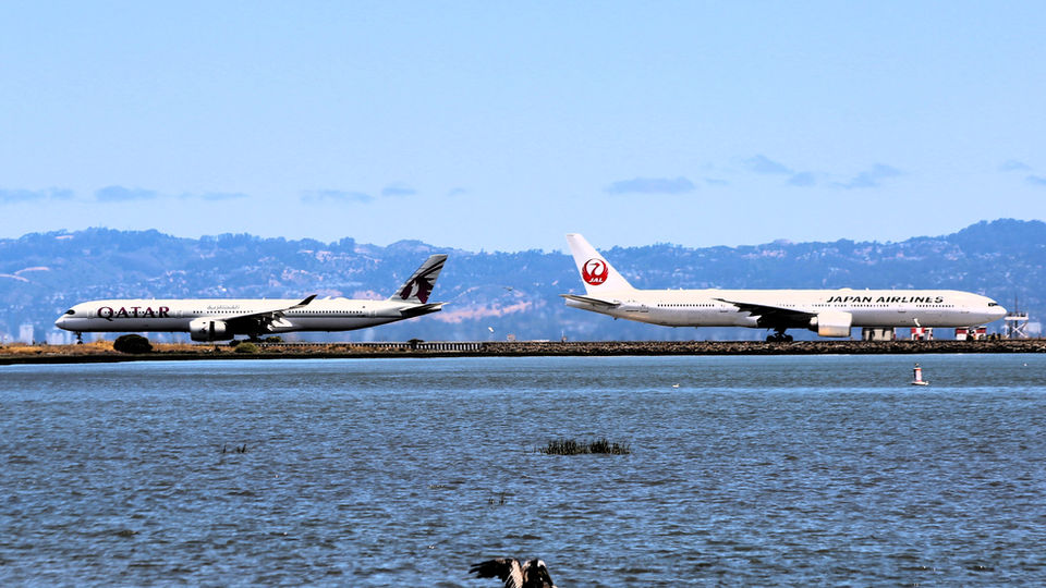 Plane Spotting at BayView Park SFO